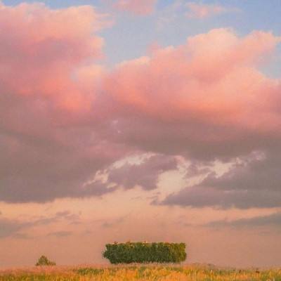 半岛综合app官网登录