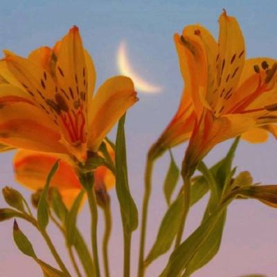 云开·全站APP登录入口