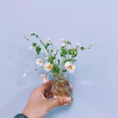 真人百家家乐网站