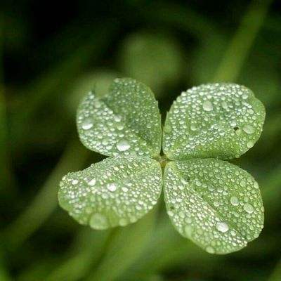 博业体育官网boye